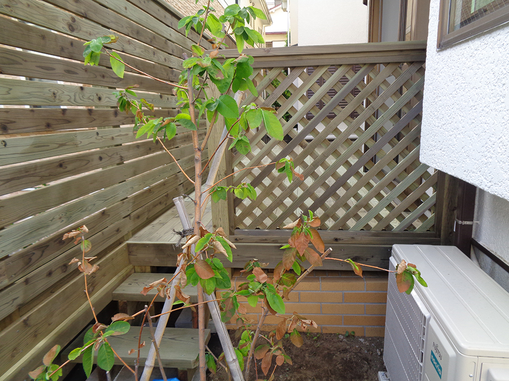 東京都世田谷区 庭 ウッドデッキ2